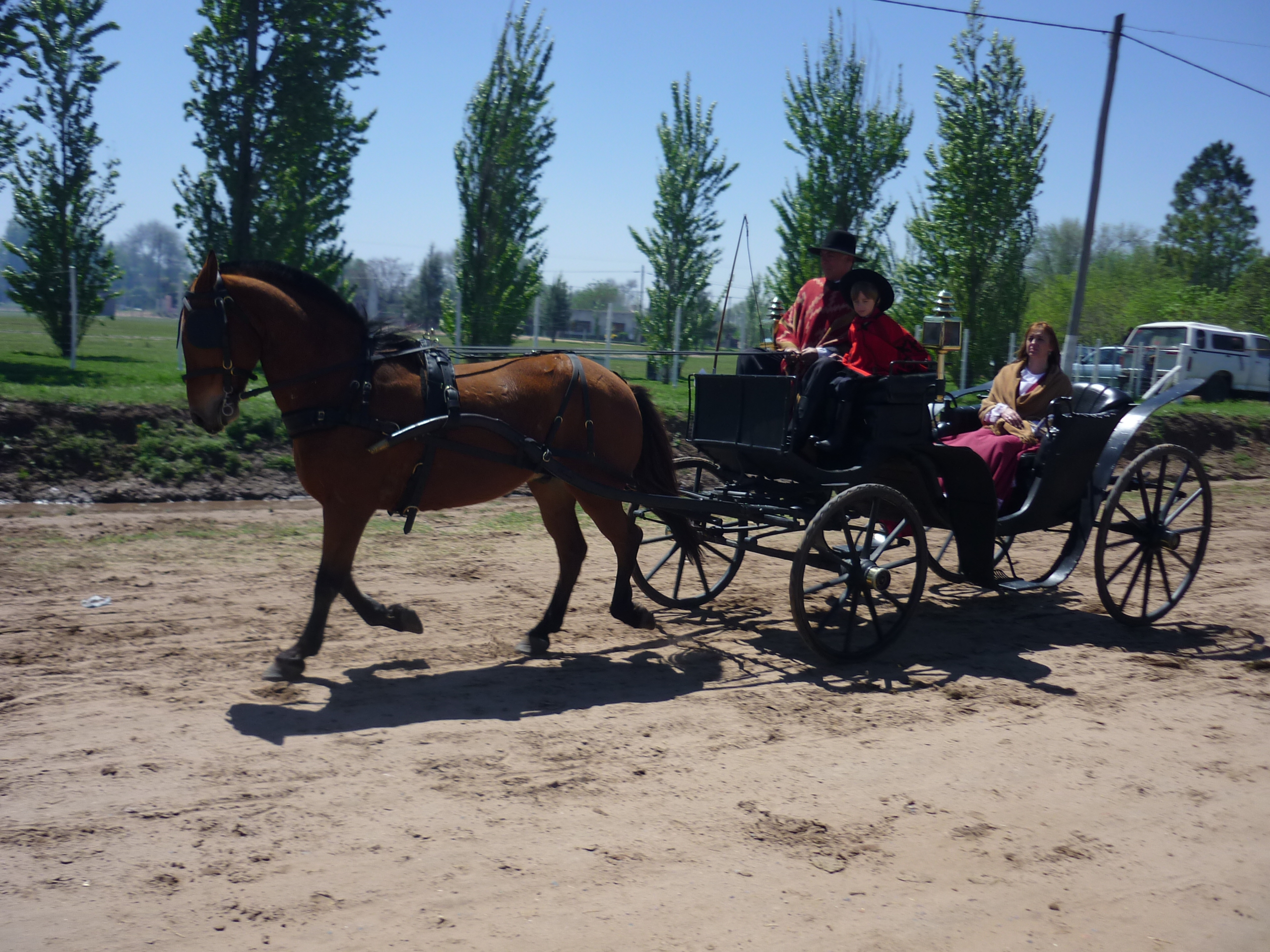fotos/2009-10-11 - Fiesta del Cordero/P1000430.JPG